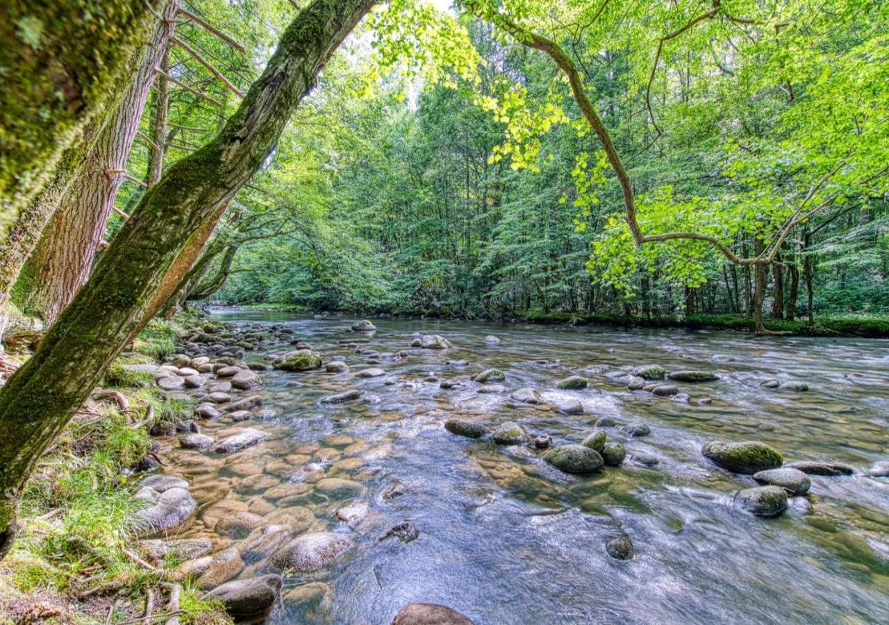 The Grand Orchard Lodge - Gatlinburg, Tn Esterno foto